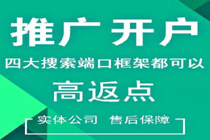 精准投放，高效转化——网站sem托管的胜利案例